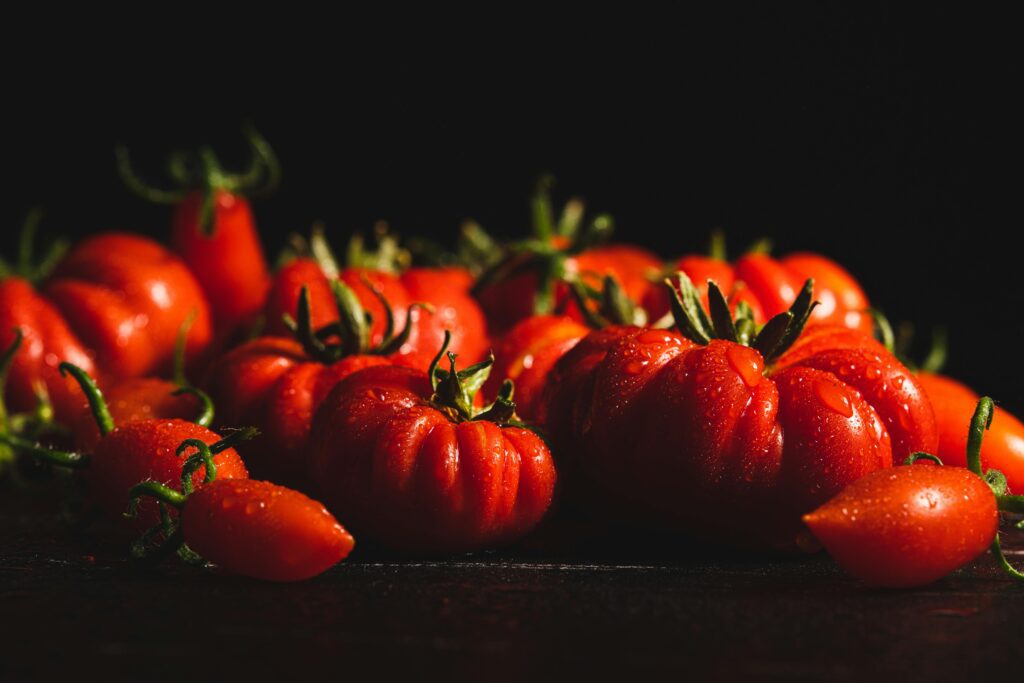 sistemas hidropónicos plantas