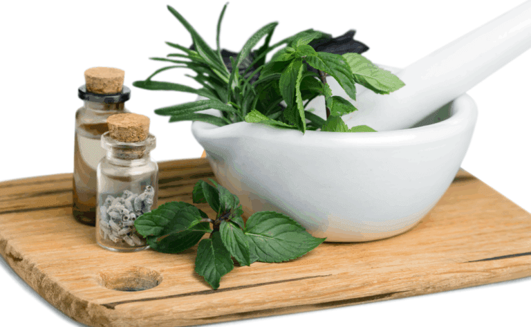 16 aspectos clave para cultivar hierbas aromáticas en hidroponía en el Perú sin fallar