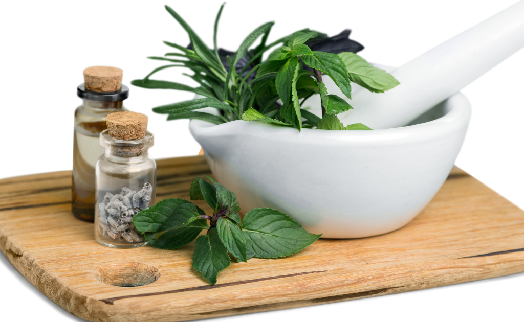 hierbas aromáticas en hidroponía peru
